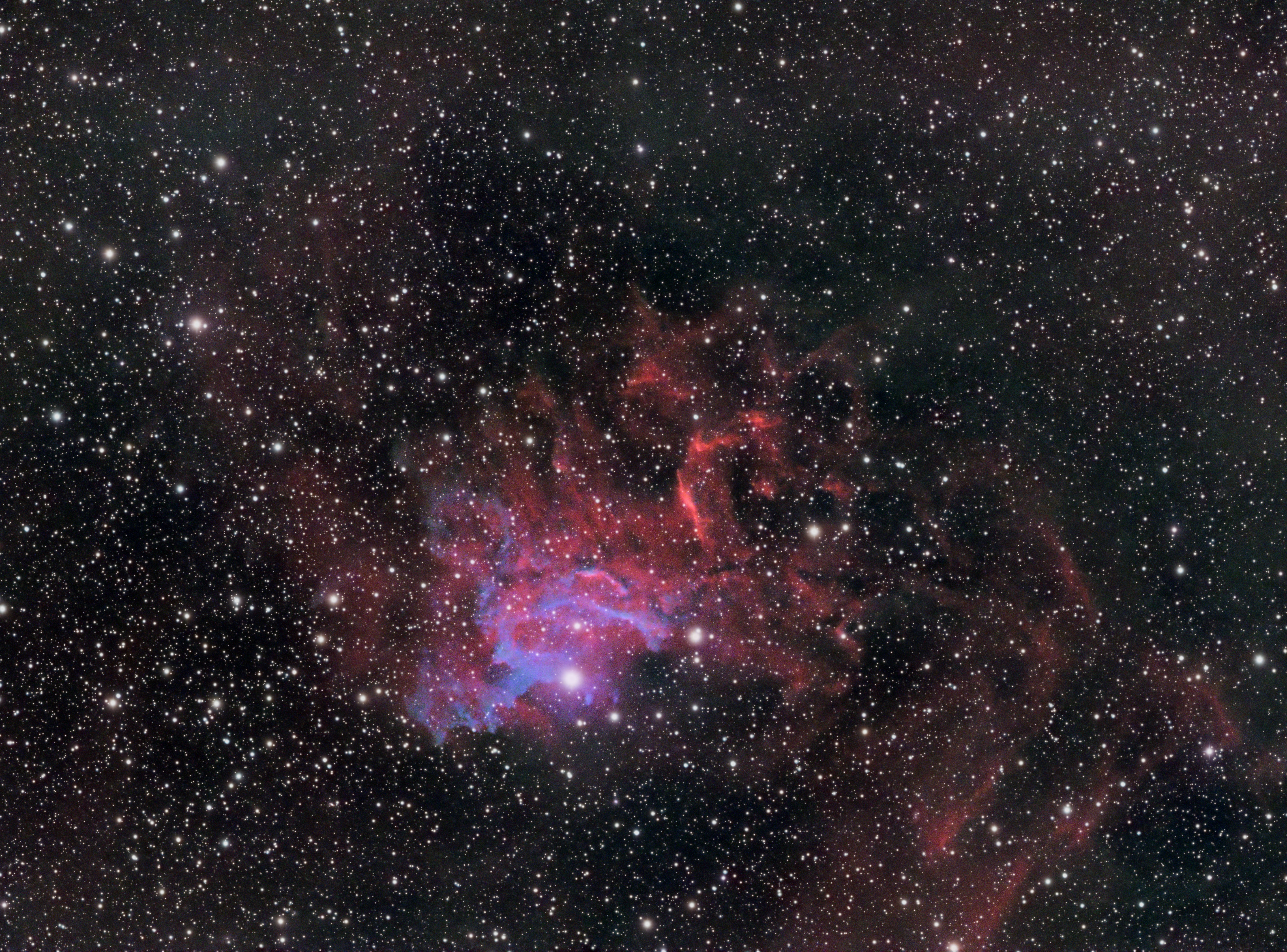 Flaming Star Nebula