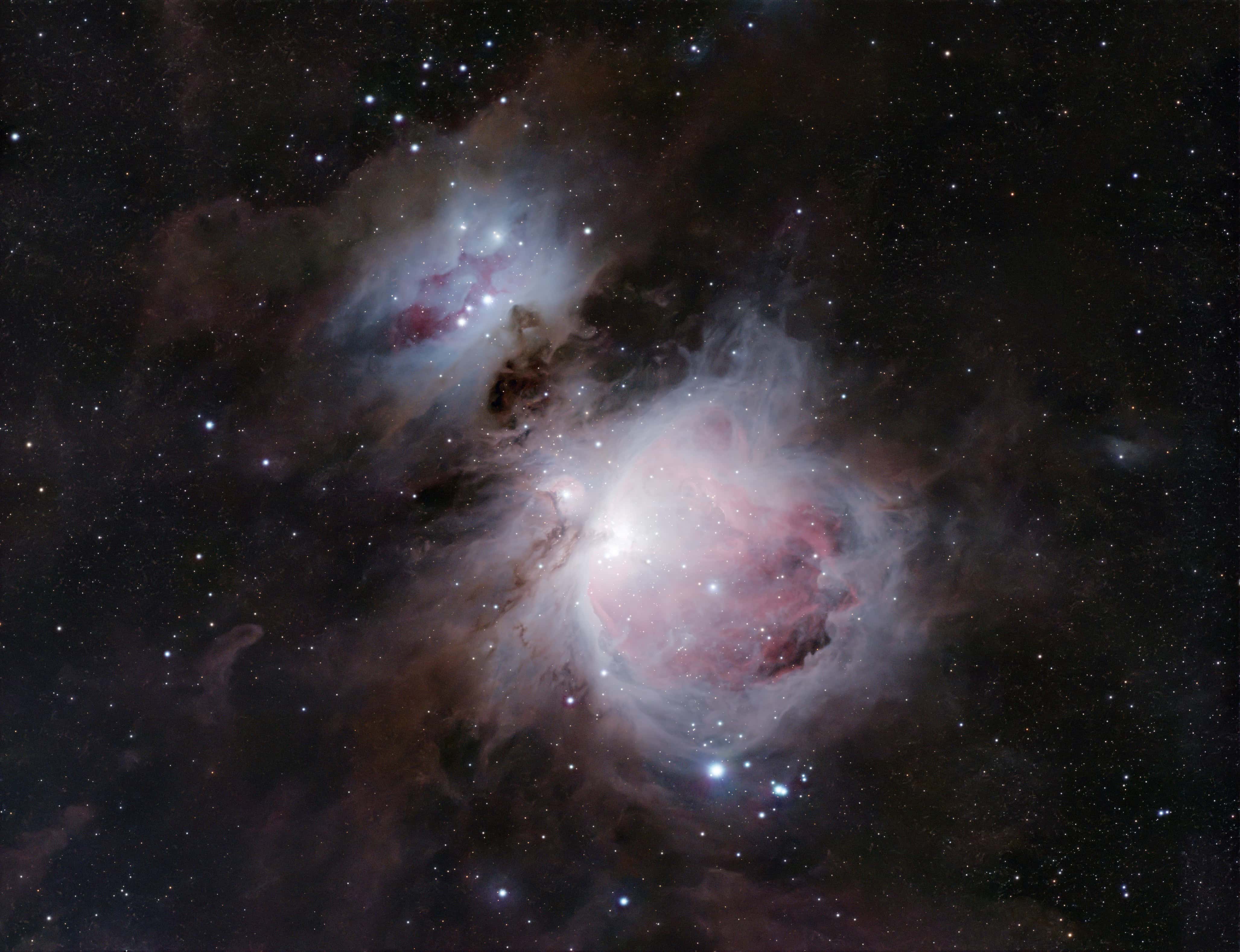 Orion Nebula