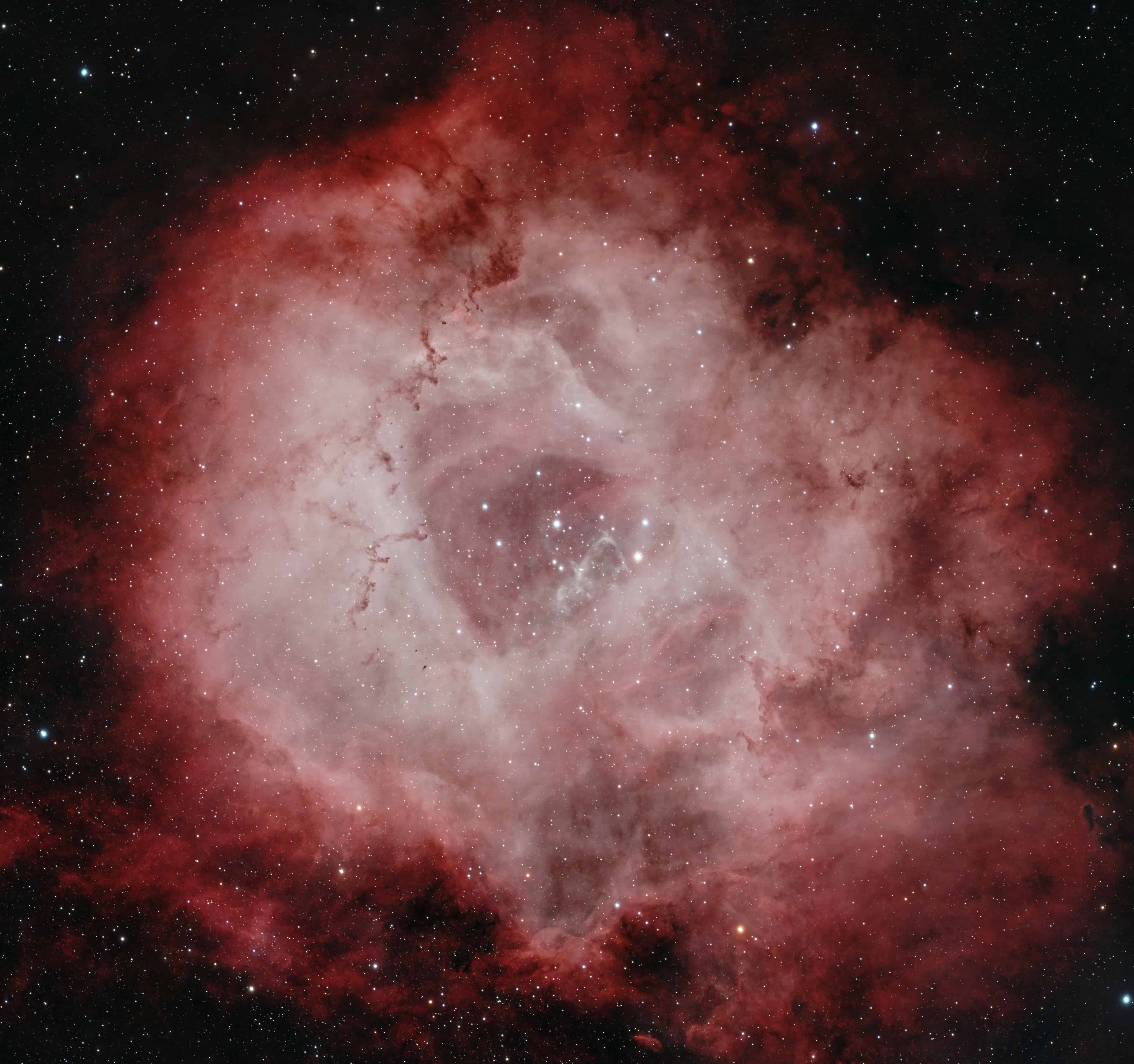 Rosette Nebula