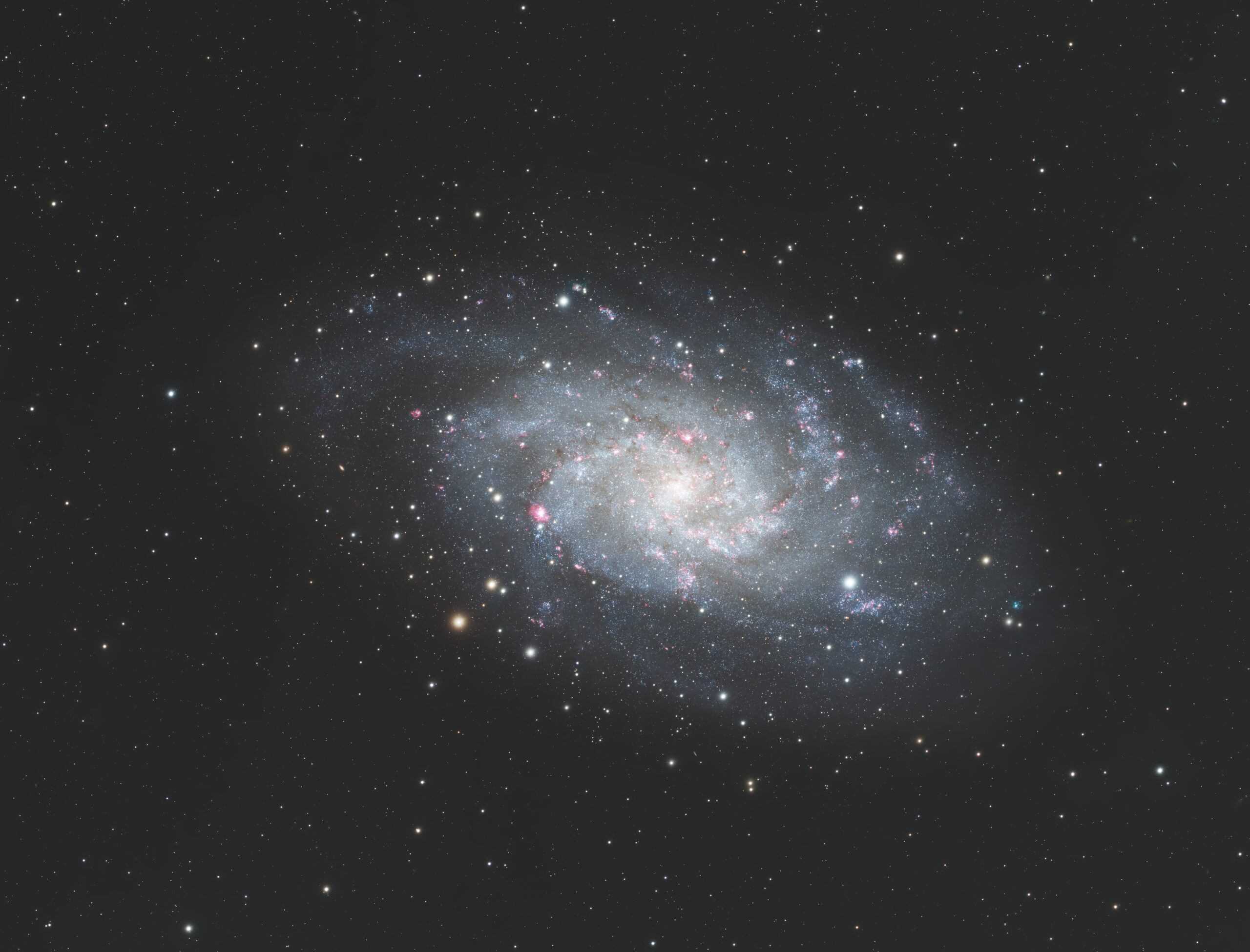 Triangulum Galaxy (M33)
