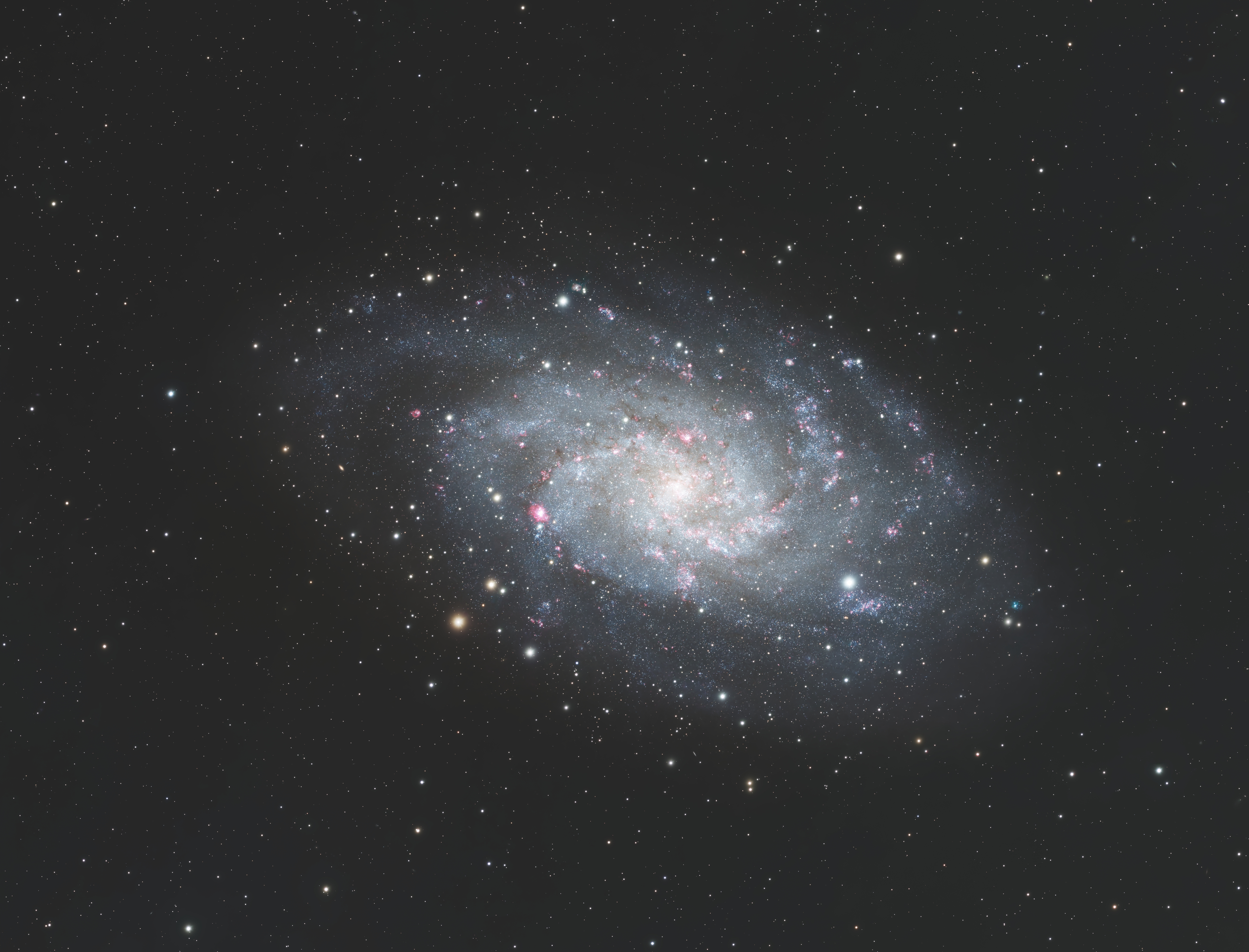 Triangulum Galaxy (M33)